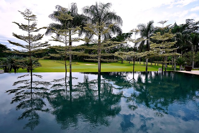Photo d'une réalisation d'une Piscine à débordement