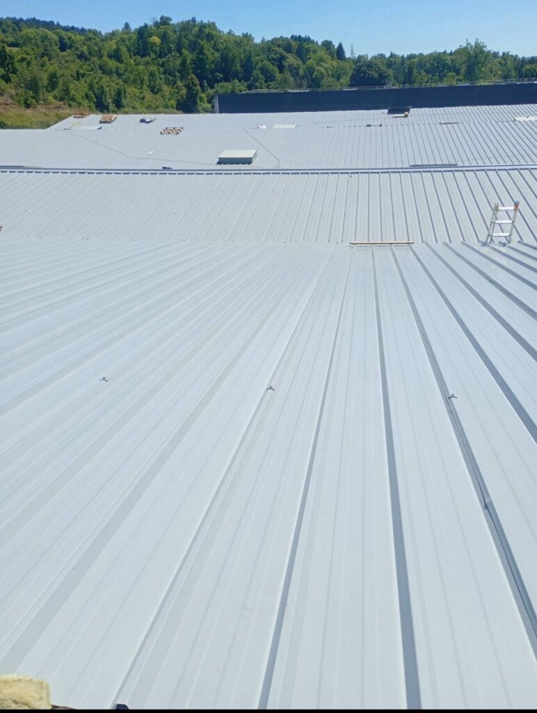 Travaux de toiture en zinc